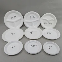 

Eco biodegradable disposable plates tableware from sugarcane