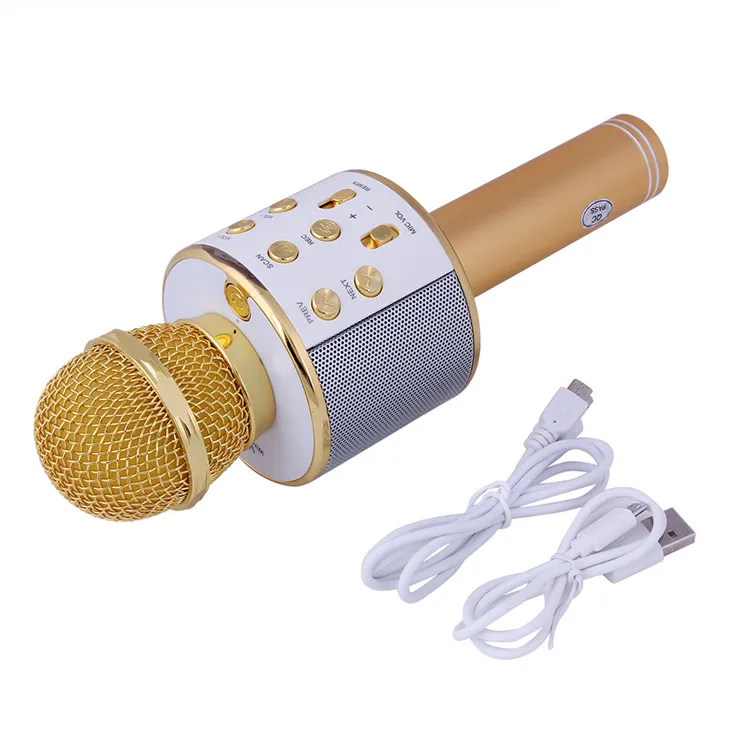 microphone-16.jpg