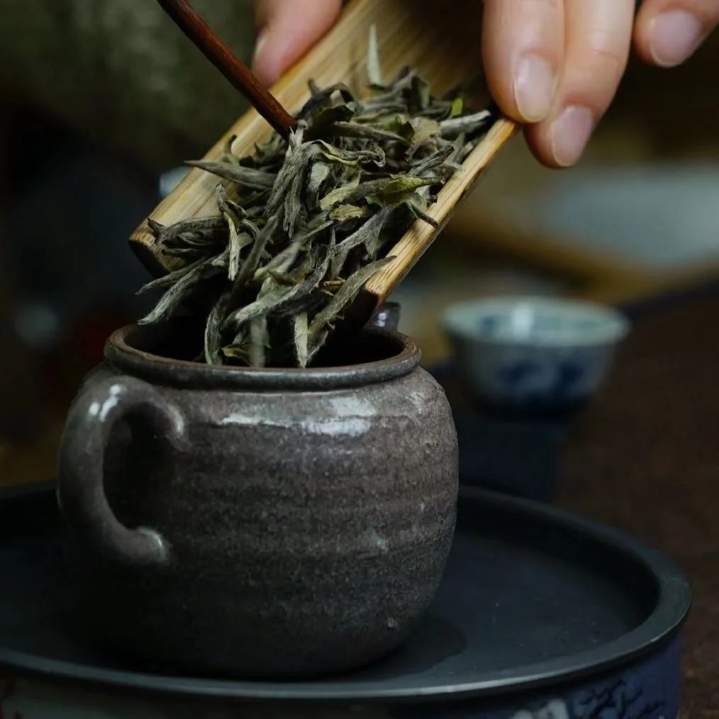 Wholesale white tea Fujian Organic Tea Pekoe - 4uTea | 4uTea.com