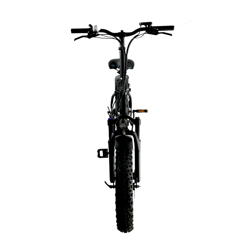 

Hot Sale Bike EBF-2 Mid Drive Electric Mountain Fat Tire Bicycle