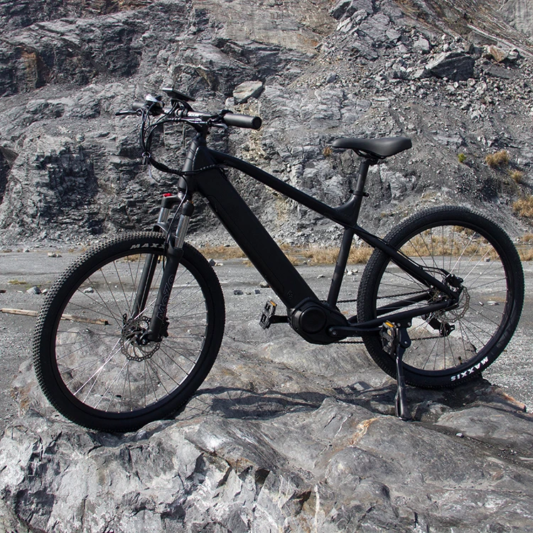 

Ce Approved Ecotric 48V 500W Ebike For Torque Sensor