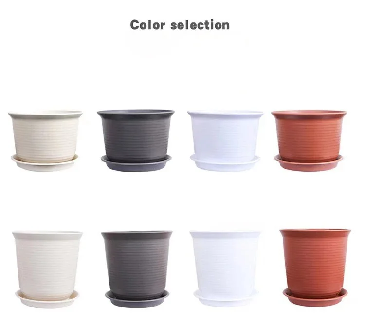 

Amazon hot sale succulent plants pots plastic ivory color flowerpots