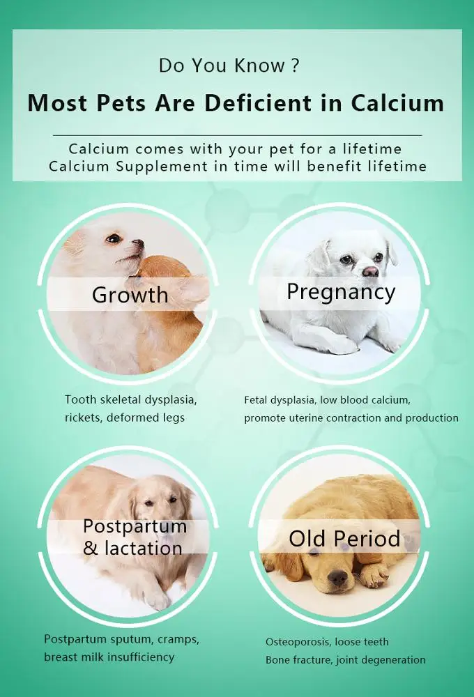 
Feed Additives Pet Cat Dog Calcium 