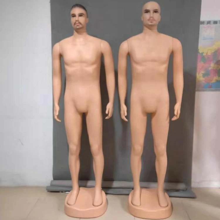 

Skin tone adult realistic male maniquies plastic men model