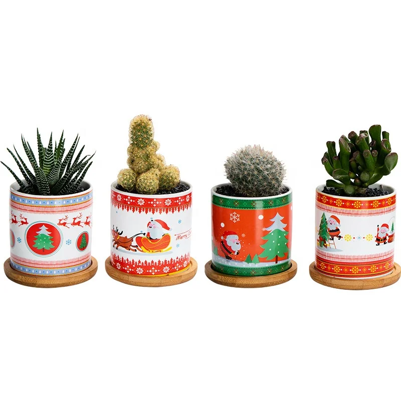 

Mini Christmas Gift succulent flower pot cactus potted ornaments ceramic flower pot