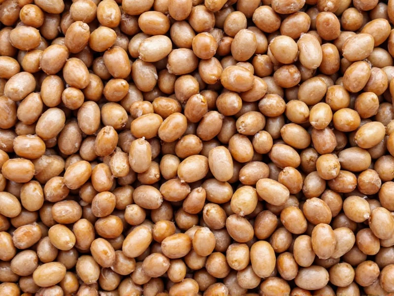 Lentils Are Not Beans: The Botanical Truth Explained