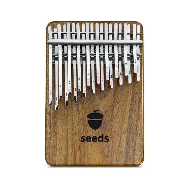 

Musical Instrument Thumb Piano Finger Piano With Case Music sheets Solid Wood Plate Mbira Double Layer 20 Keys seeds Kalimba