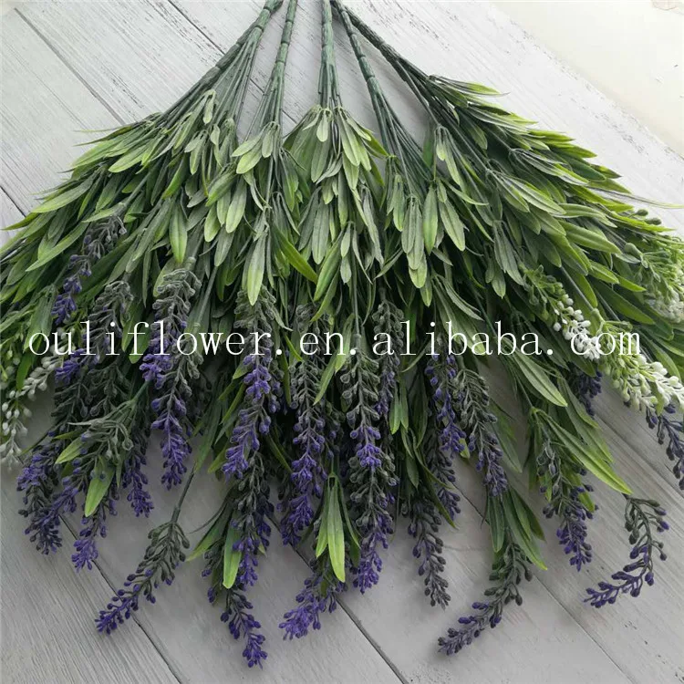 lavender (9).jpg