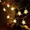12 LED Decoration Star Solar Decoration Light (SD-SSL007)