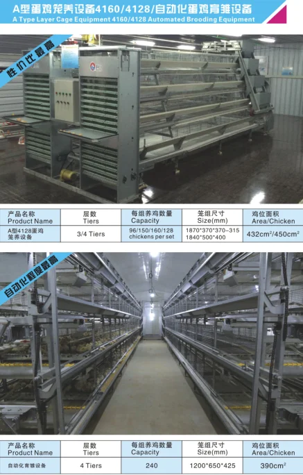 Poultry Farm House Automatic Galvanized Battery Chicken Cages For Sale Poultry Farming Equipment Design Modern Provided Bearing Buy Automaticautomatic Broiler Feeding System Turnkey Project For Poultry Farming Systerm A Complete Breeding System And