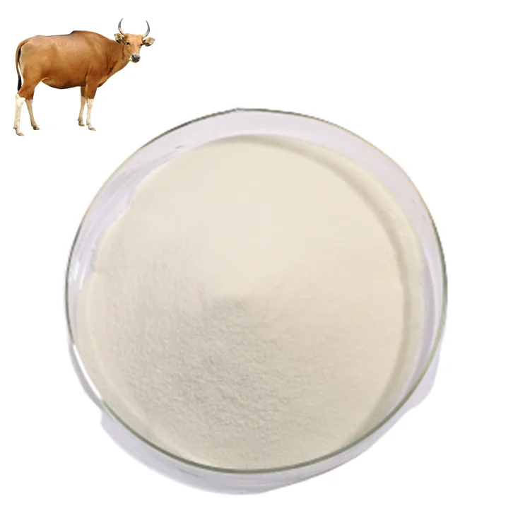 

Fed Beef Hide Powder Peptides Collagenanimal Protein Xiamen Hyfine Gelatin Co.ltd Pure White or Milk White within 5 Days 1kg