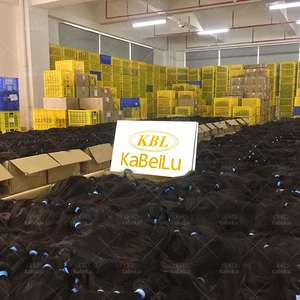 KBL 10a cuticle aligned brazilian remy twist hair extensions wholesale,white label hair products,cantu hair products 2