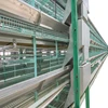 Poultry farm laying hen chicken egg layer cages