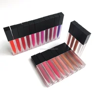 

low moq matte cosmetics nude velvet lipstick set