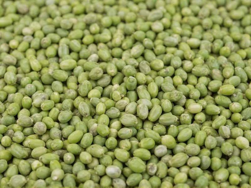 What Do Dill Seeds Look Like: Complete Visual Guide