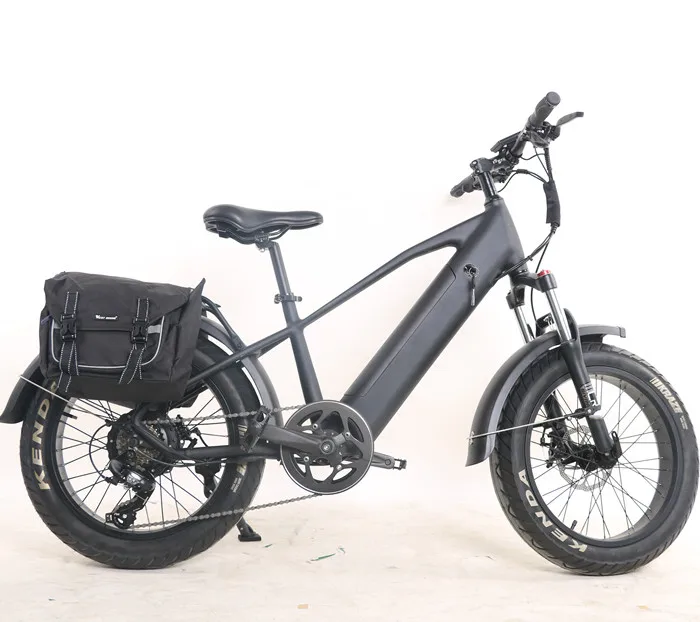 

Electric Bike Ebike Fat 52v 1000w Dual Motor Electric Bike Ebike Fat Tyre Elektrische Fiets