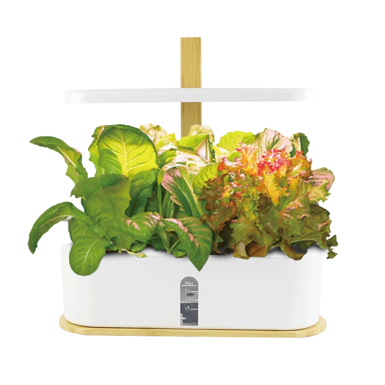 

HOMEJOY Aero Smart Hydroponics Led Indoor Smart Mini Vegetable Home Garden germination hydrophonic Kit White Small Round