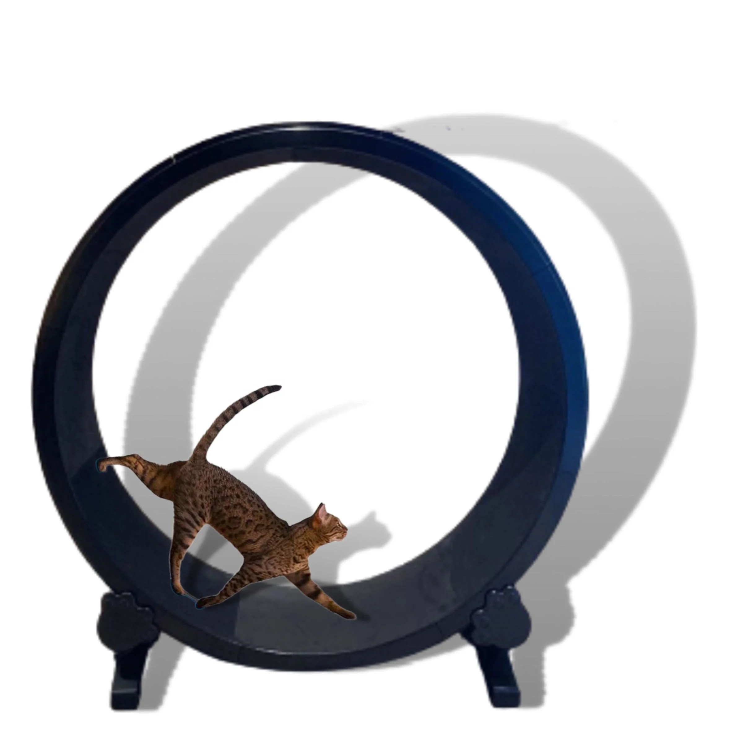 

Factory Cat Exercise Wheel Cat treadmills exercise wheel running Wheel running toy, Black