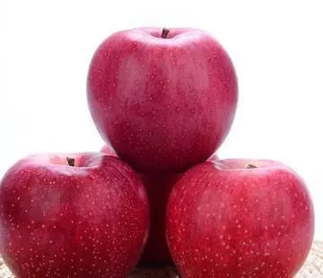 
The farm exports a large number of fresh apples Qinguan apples, which are of high quality and low price 