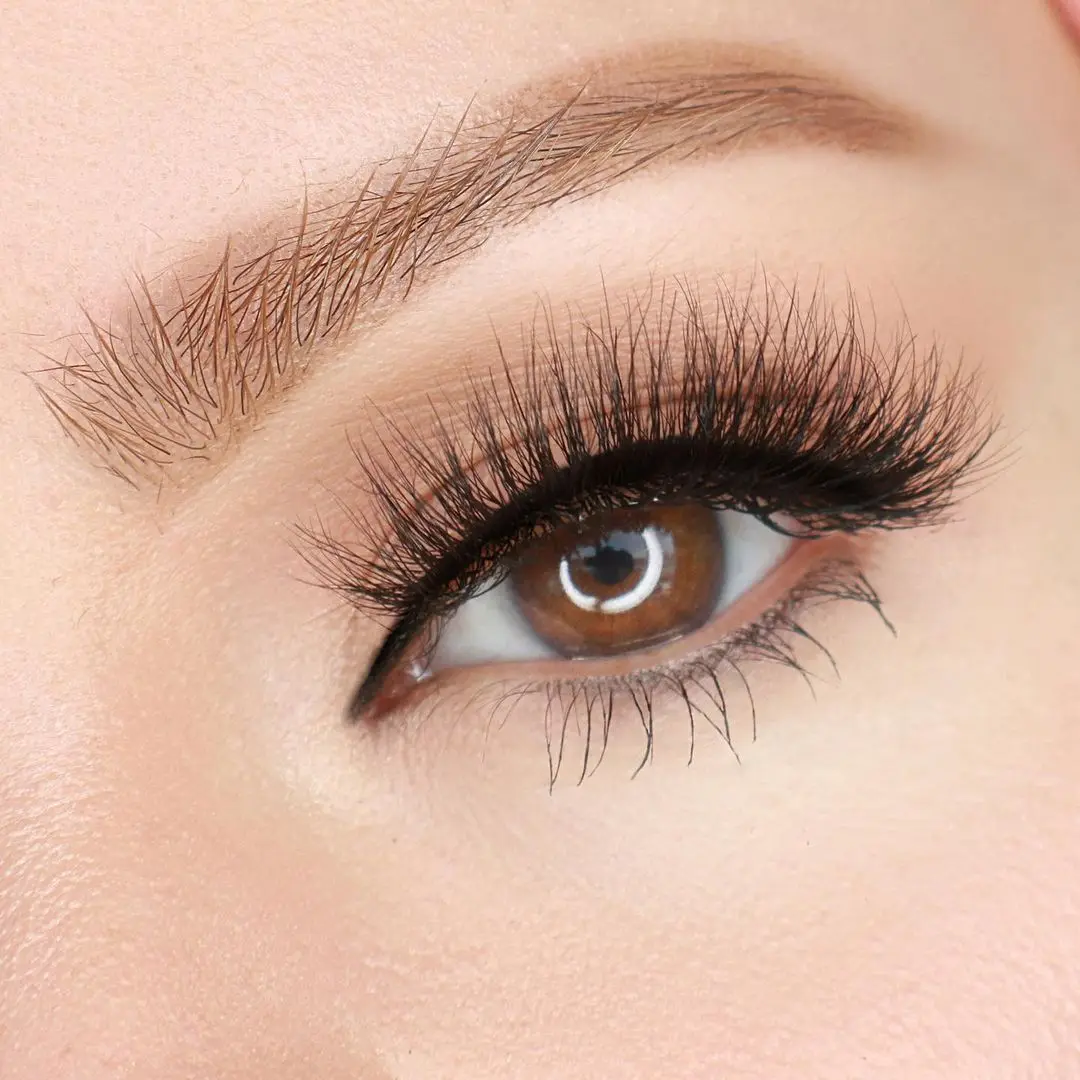 

Waterproof And Oil Glue For Lashes Extension High Volume False Eyelashes Fluffy 3D Eyelash Extensions Individual Premium, Black