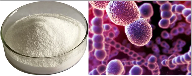 食品addiives嗜热链球菌益生菌