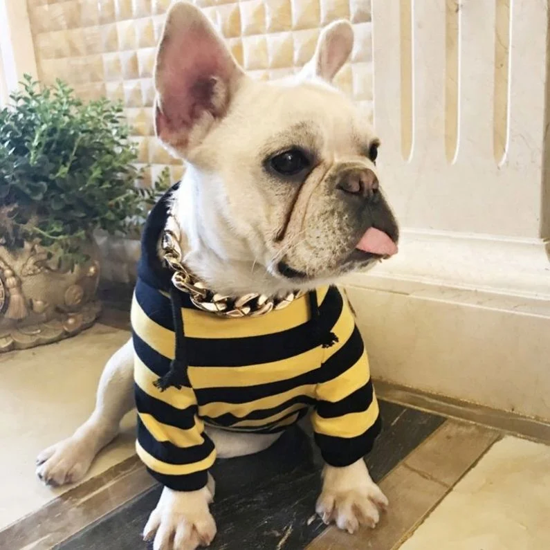 

Spring Fall Pet Dog Sweater Striped Style Popular Casual Two-Legged Hoodies Clothes, Picture
