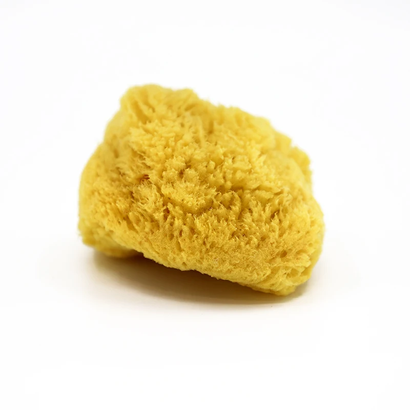 

6.5-8cm natural bath brushes sea wool sponge 6-7" for bathing