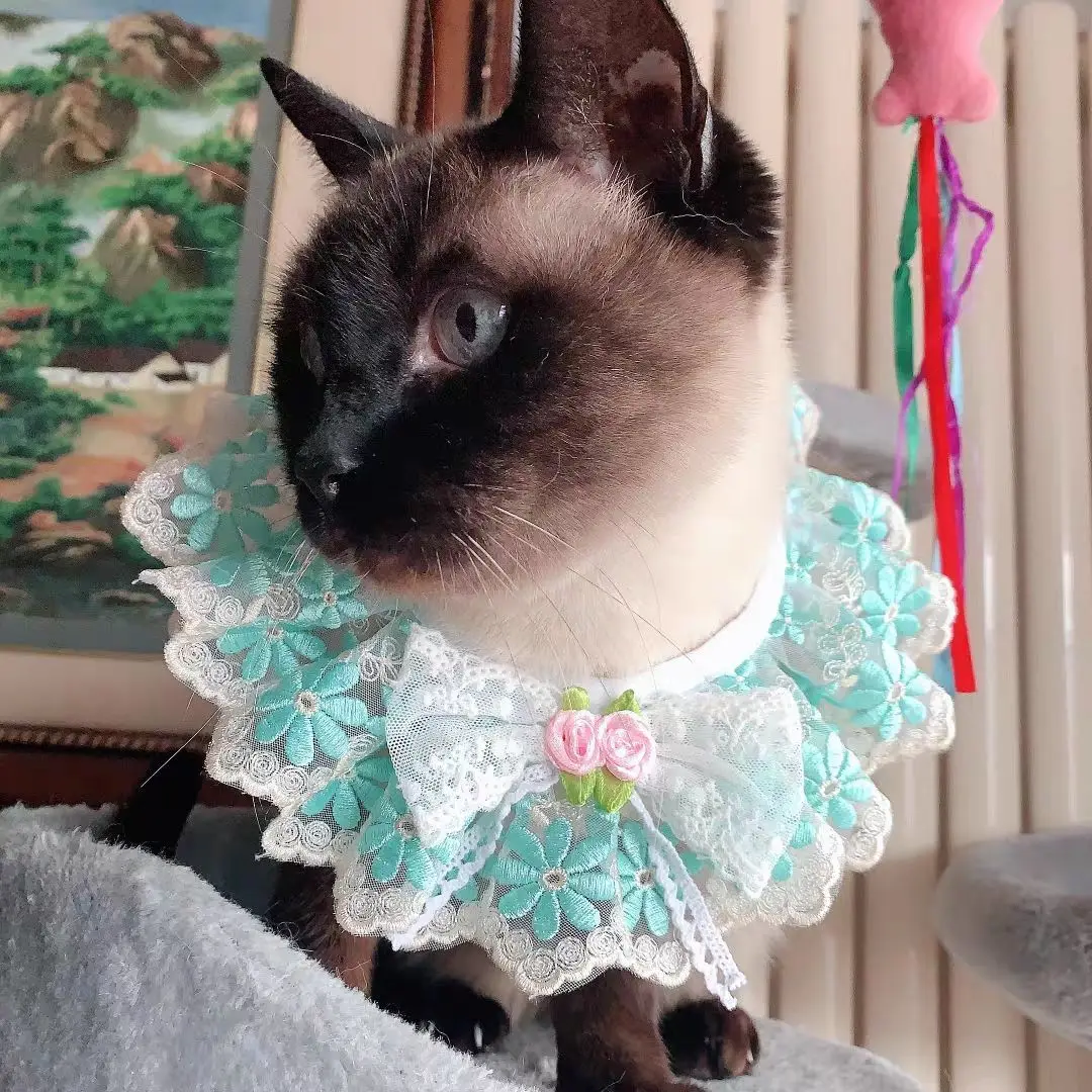 

Chinese style dog and cat accessories cats necklace pet bib