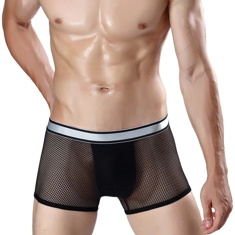 

2020 New Arrival Mesh See-Through Dirty Sexy Mens Exotic Underwear
