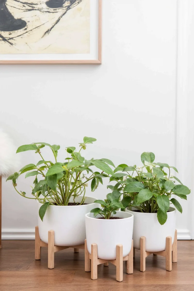 7 family friendly ways to style wayfair planters in your home with tips tricks product deep dive