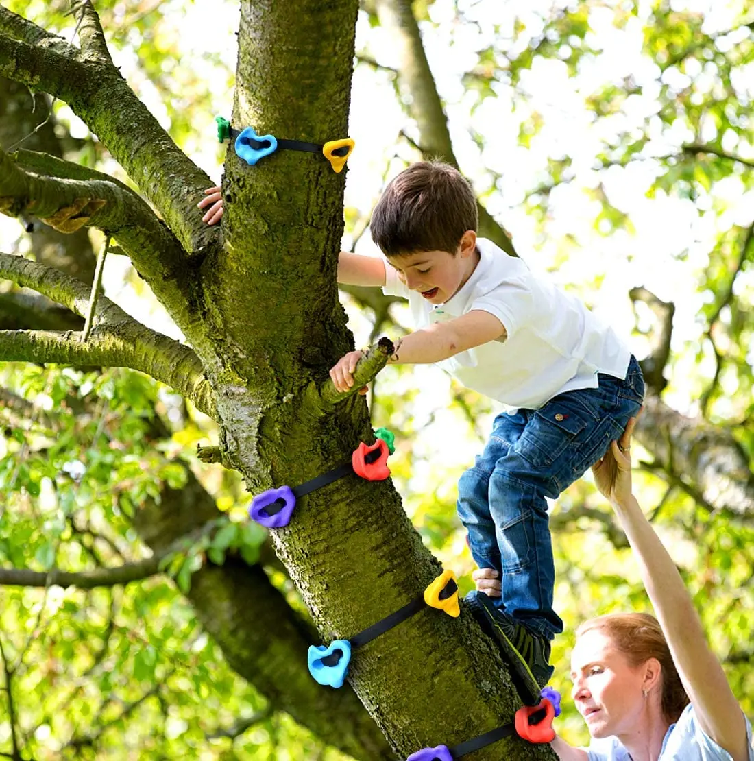 Tree climbing. Climb a Tree.