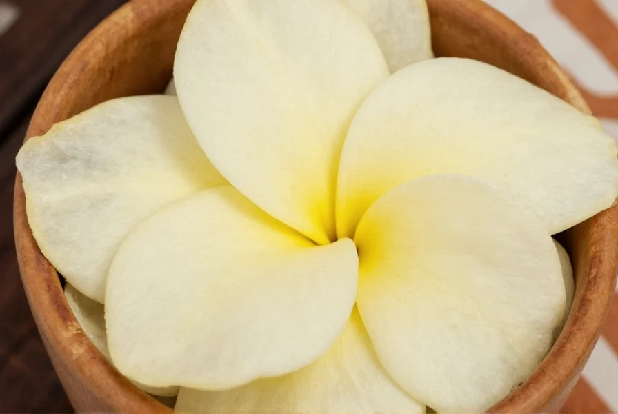 Comparison of natural vanilla beans and synthetic vanillin powder