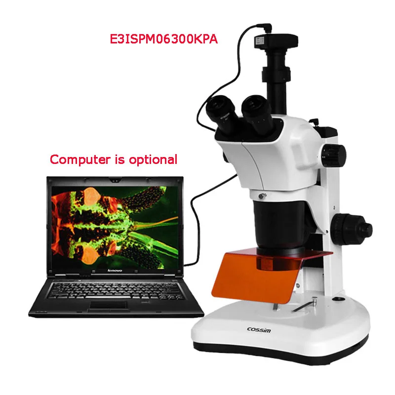 Vmf7063 Led Illumination Trinocular Fluorescence Stereoscope With 2 / 4