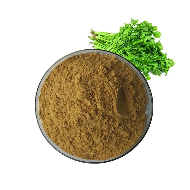 

Food Grade Celery Seed Extract/Celery Extract