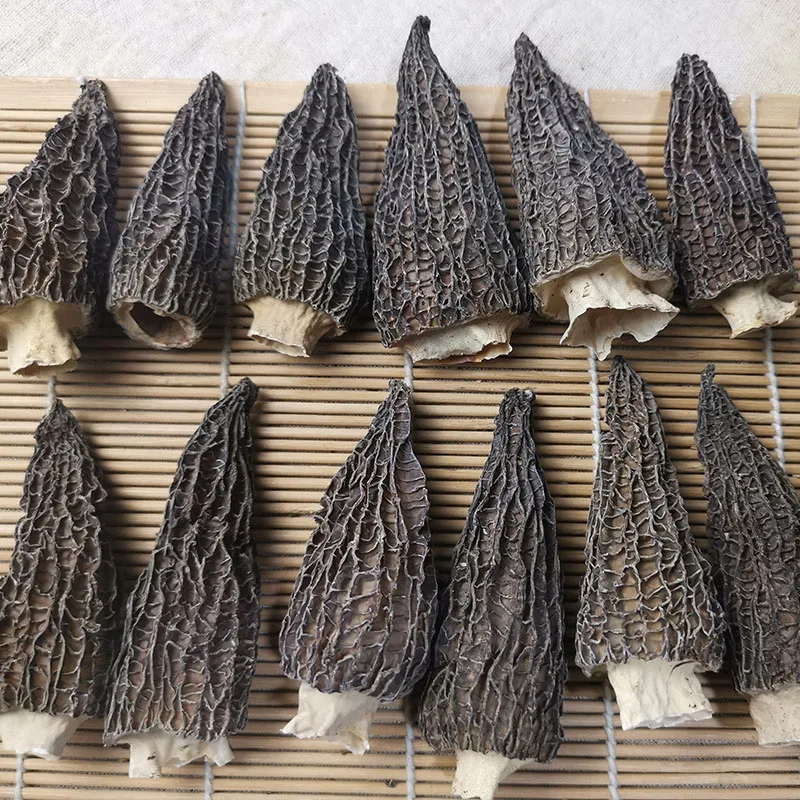 
price of whole fried wild mushroom morchella 