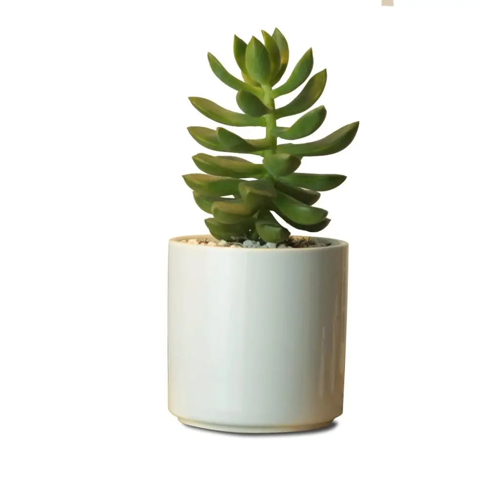 

wholesale Modern Simple Style White Decorative Garden Flower Holder Ceramic Flower Pot 9CM Cylindrical Succulent Plant Pot