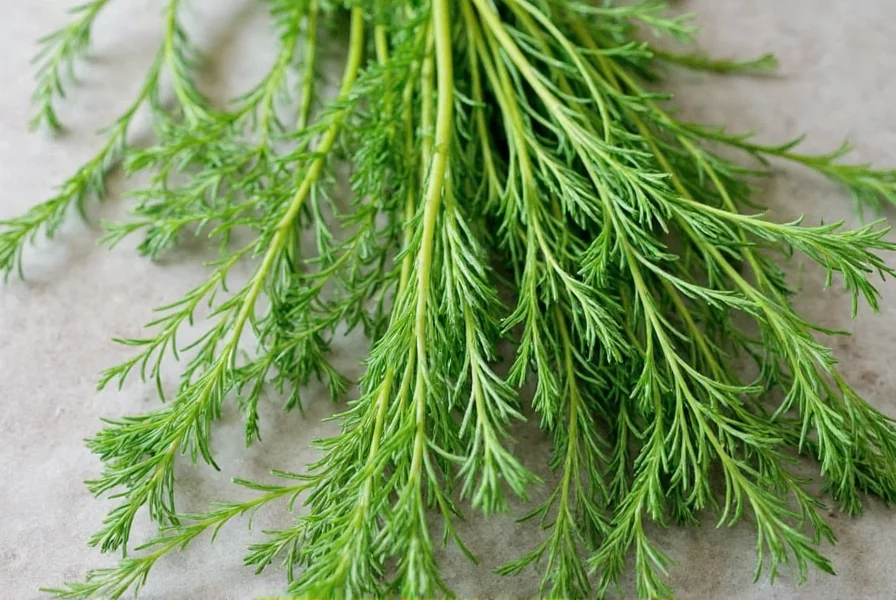 Dried dill used in pickling spice blend