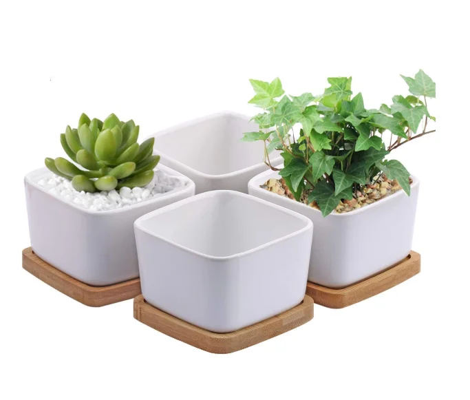 Wholesale Square Ceramic Flower Pots White Mini Plant Pot Succulent
