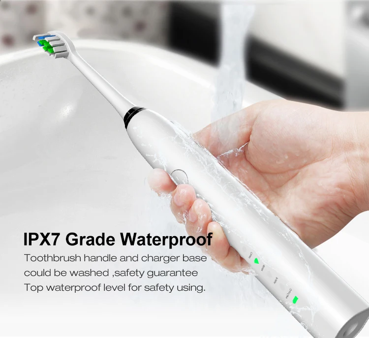 2020 Hanasco New Sonic Vibration Electric Toothbrush H6 Buy 2000mah