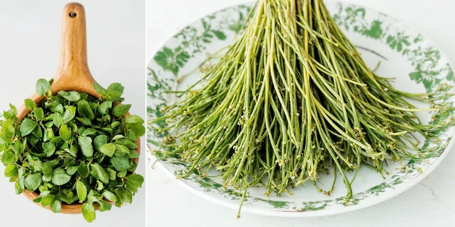 From Garden to Shelf: 10 Fresh Herb Conversion Hacks That’ll Make You a Dried Herb Prodigy