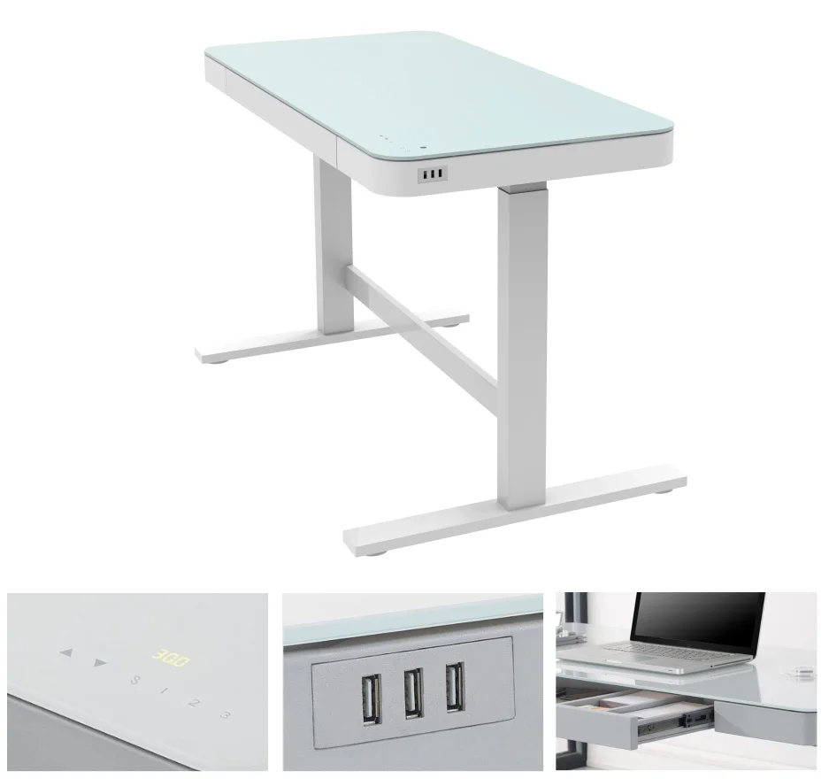 Lift Up And Down Desk Height Adjustable Electric White Raising Desk