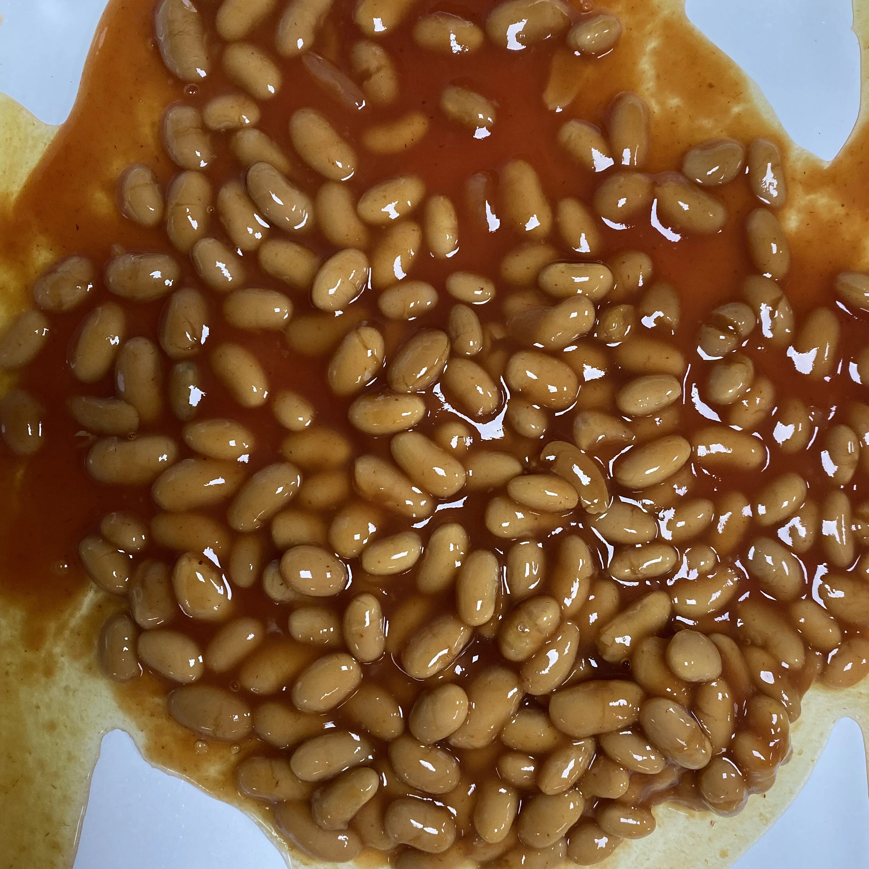 
Best brands canned baked bean in tomato sauce 