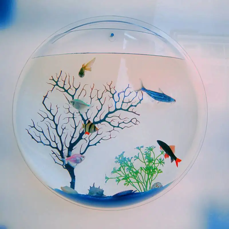 

Hot Sale Acrylic Wall Hanging Planter Flower Pots Decor Indoor