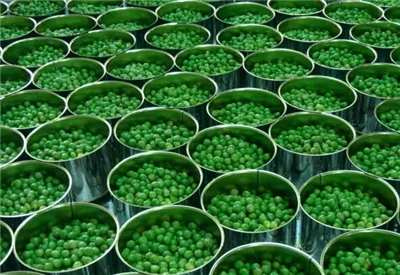 canned green peas (5).jpg