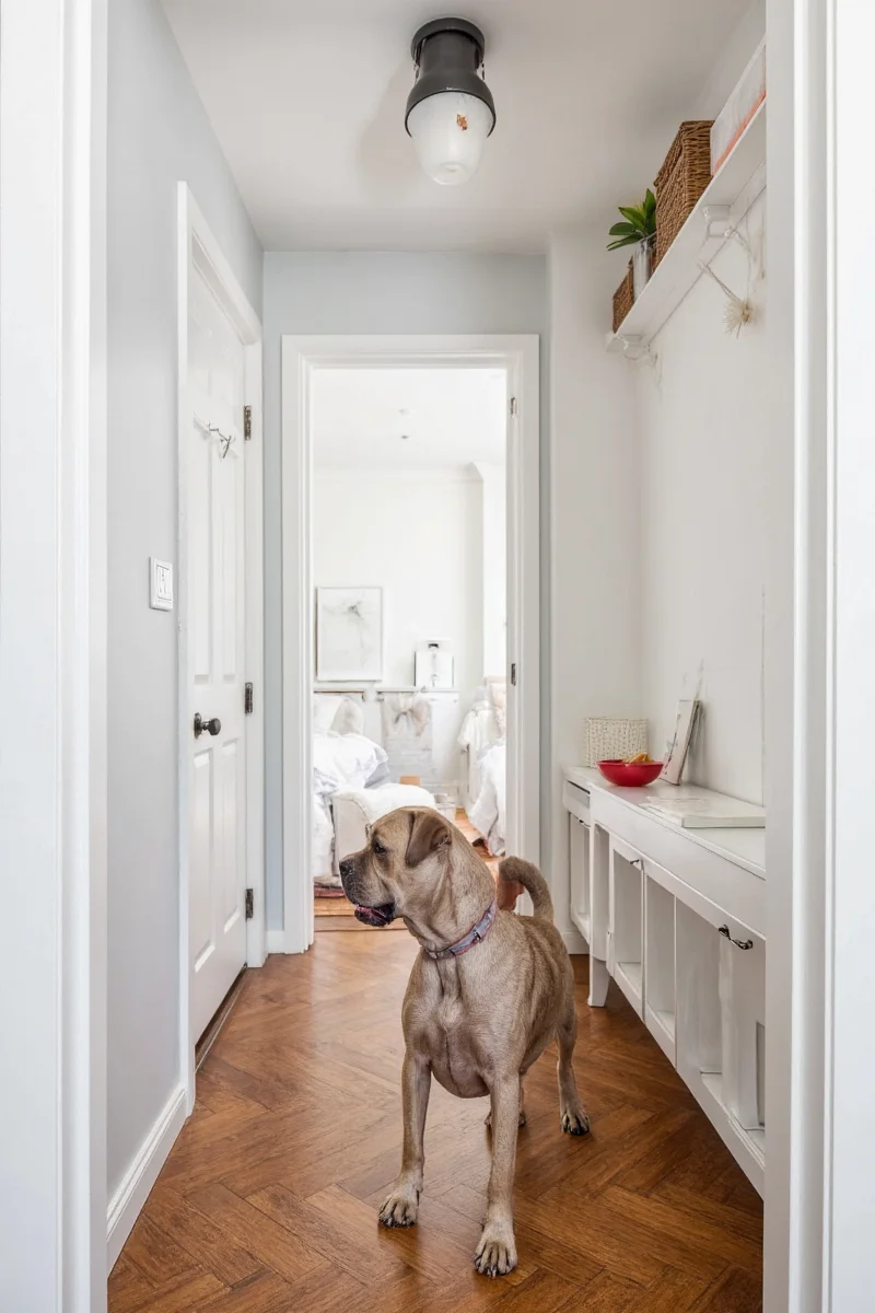 Modern dog room featuring a sleek built-in bed, floating shelves with toys, and wall-mounted leash hooks.