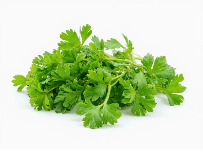 Parsley vs Cilantro: Health Benefits Compared
