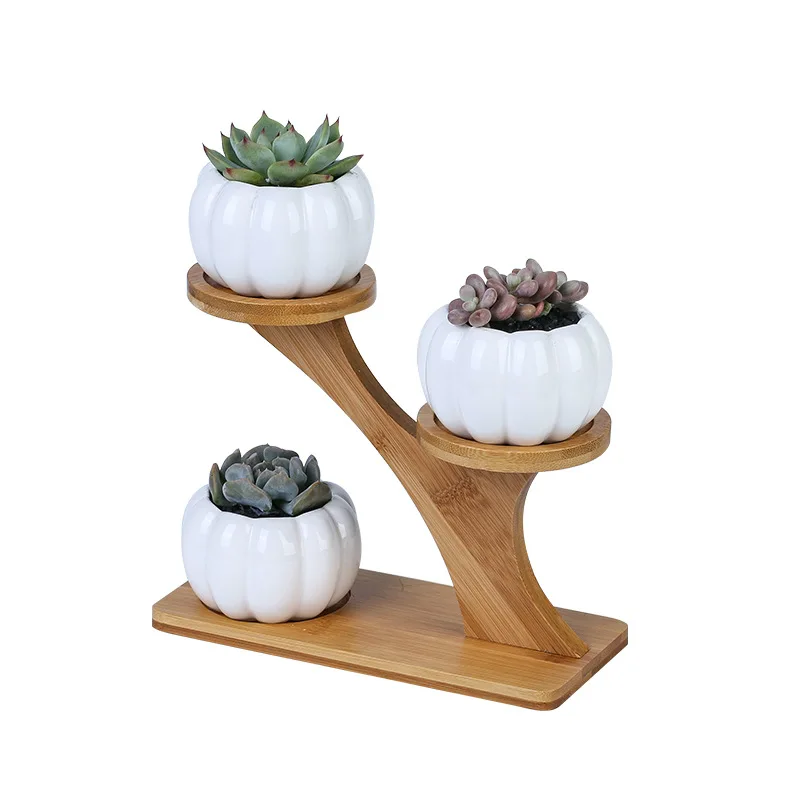 

Factory direct sales Succulent plants Indoor greening, white ceramic flowerpot with bamboo support