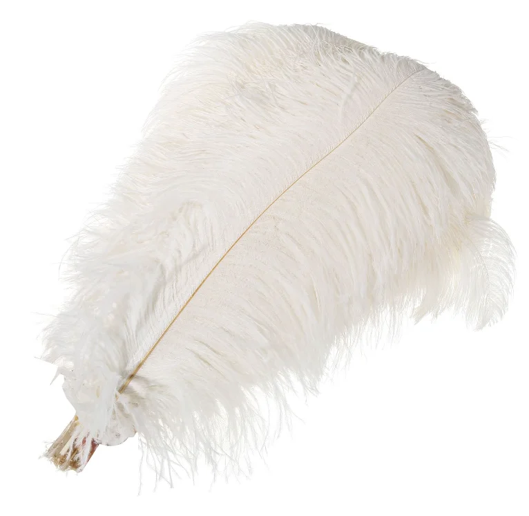 
15-75cm Dyed Colorful Fashionable Top Quality Wholesale Ostrich Feathers Plumes for Wedding Ostrich Feather Tree Decoration 
