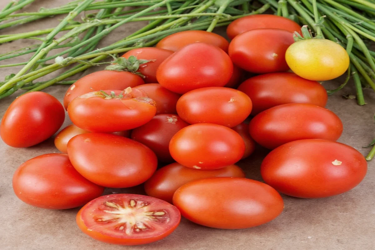 how much epsom salt for tomato plants