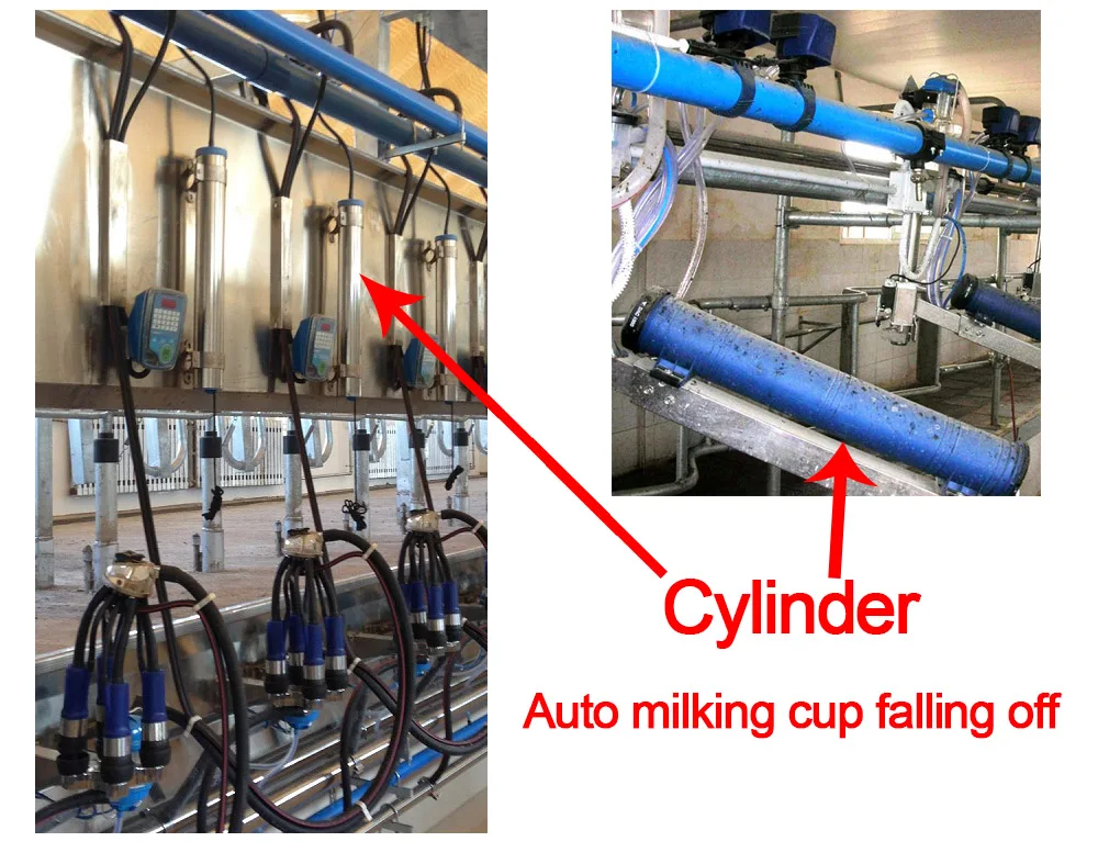 Milk Cooling Tank Afimilk Software Copeland Compressor 304 Milking